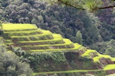 banaue rice terraces