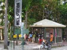thumbs_e3592_mango-ice-cream-002