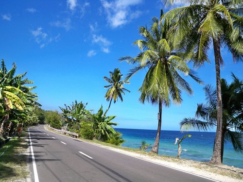 beautiful road in Cebu