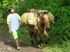 camiguin-back-roads-003