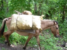 camiguin-back-roads-004