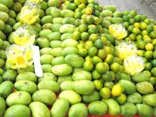 cebu-jan-013