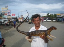ipil-mindanao-012
