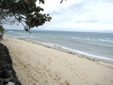 club serena beach moalboal-resort-001