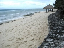 moalboal-resort-007