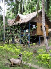nuts-huts-bohol-004