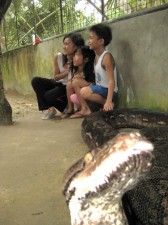 prony the python prony-python-014