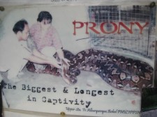 prony-python-017
