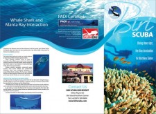 Biri Island scuba diving