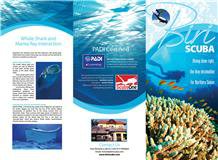 Biri Island Scuba Diving