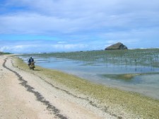 motorbike-samar-045