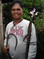 whalesharks-leyte-sogod-017