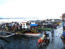 catbalogan harbor philippines-fish-001