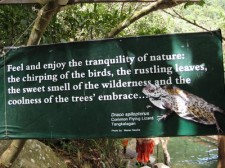 nayure park twin-lakes-020