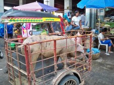 Ormoc City Market