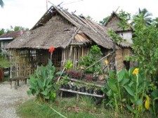 Nauhang Sipalay