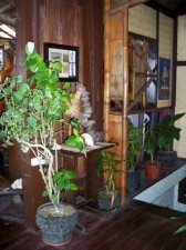 alternative-palawan-004