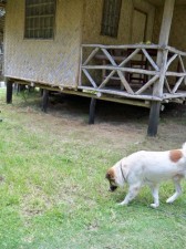 marys-sabang-palawan-007