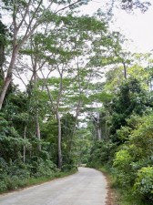 sabang-fils-001