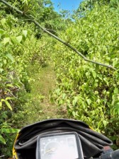 surfers-paradise-palawan-011