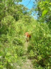 surfers-paradise-palawan-014