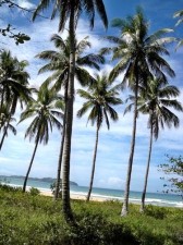 surfers-paradise-palawan-026
