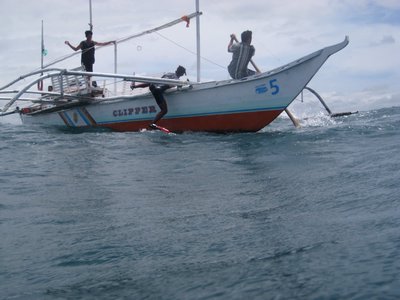 whale-shark-shark-002