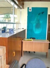 donsol-whaleshark-detour-025