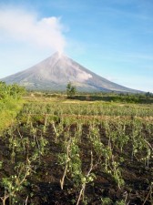 duptours-shuttle-tacloban-024