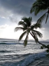 Around Siargao Island