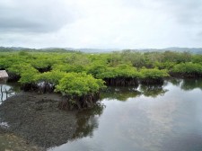 siargao-siargao-island-026
