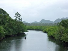 siargao-siargao-island-063