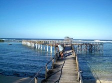surf-surf-surf-011