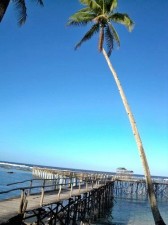 surf-surf-surf-0121