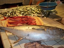 surigao-fish-market-011