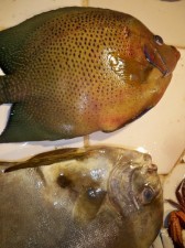 surigao-fish-market-021
