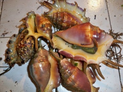 surigao-fish-market-052