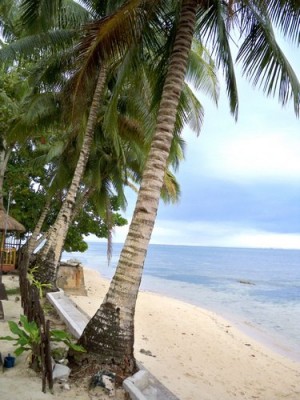 cherinicole-resort-siargao-017