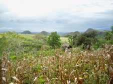 chocolate hills negros chocolate-hills-negros-002