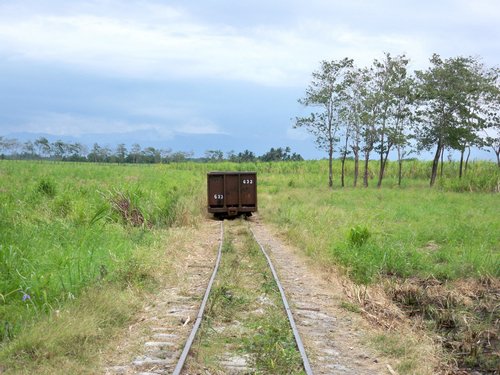 negros-negros-negros-002