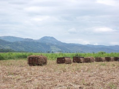 negros-negros-negros-003
