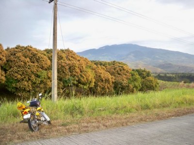 negros-negros-negros-022