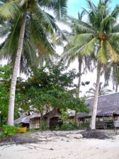 satur-honor-resort-siargao-009