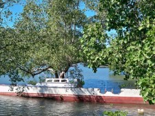 busuanga-back-roads-004