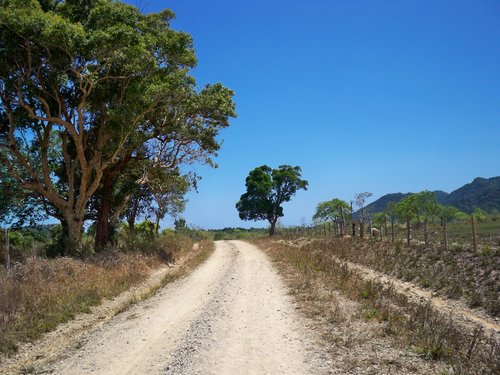busuanga-back-roads-008