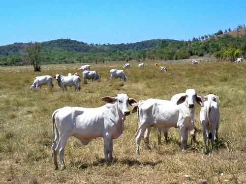 busuanga-back-roads-025