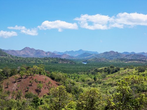beautiful busuanga dayon-camo-lodge-029