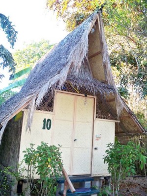 kokosnuss-coron-003