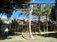 kokosnuss-coron-018