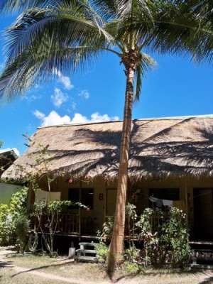 kokosnuss-coron-022